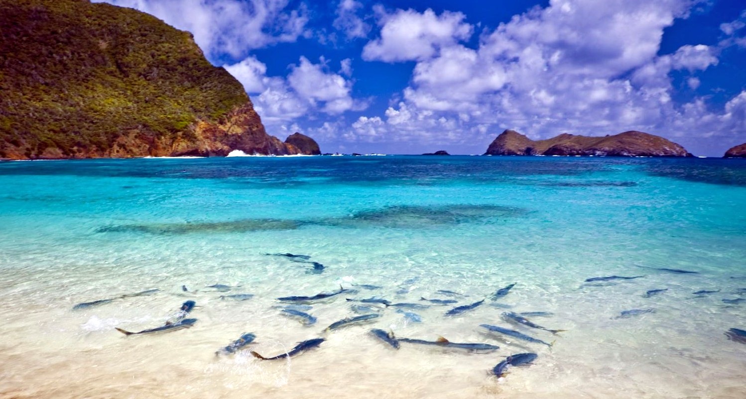 Lord Howe | LAT.40