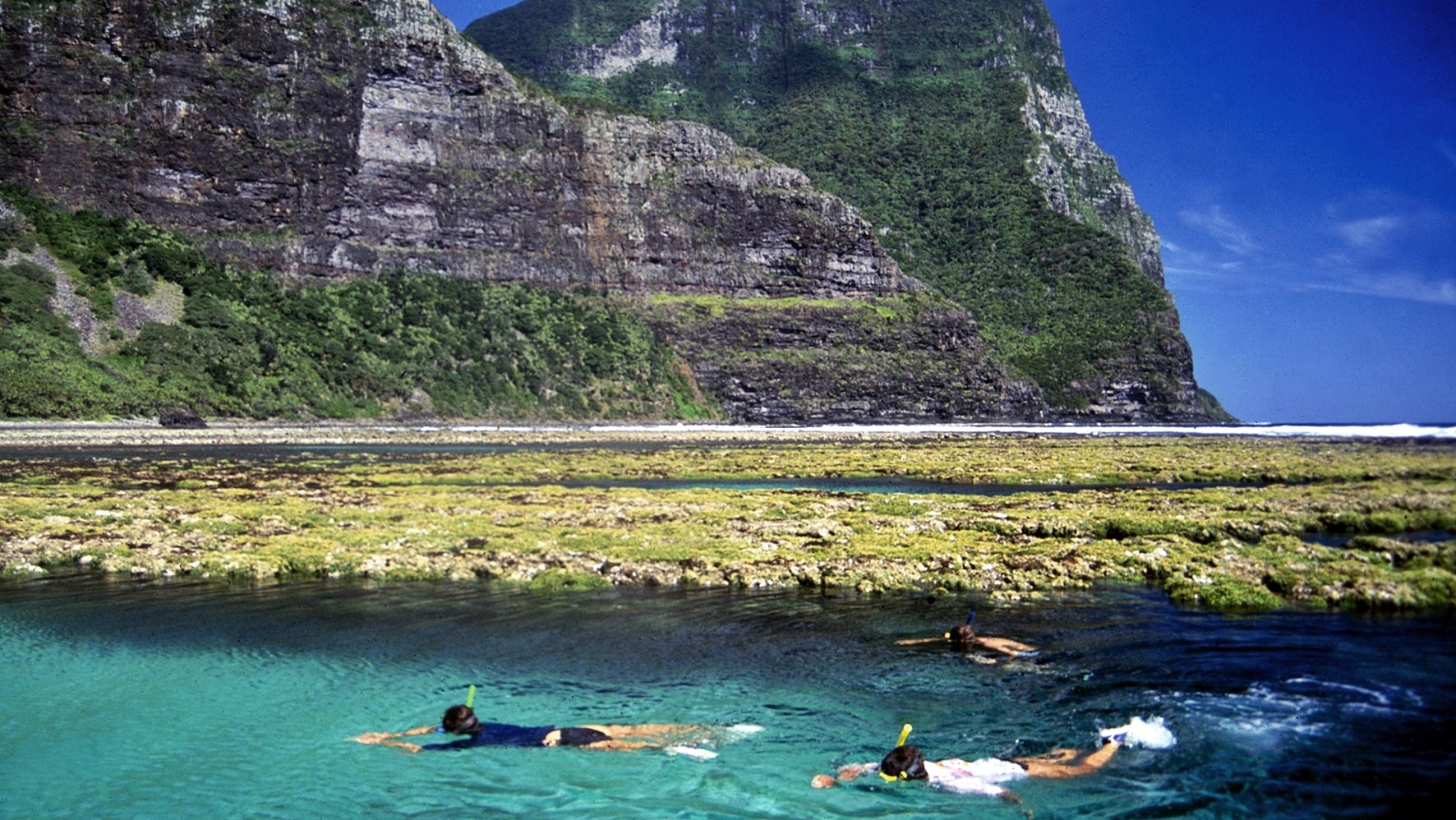 Lord Howe | LAT.40