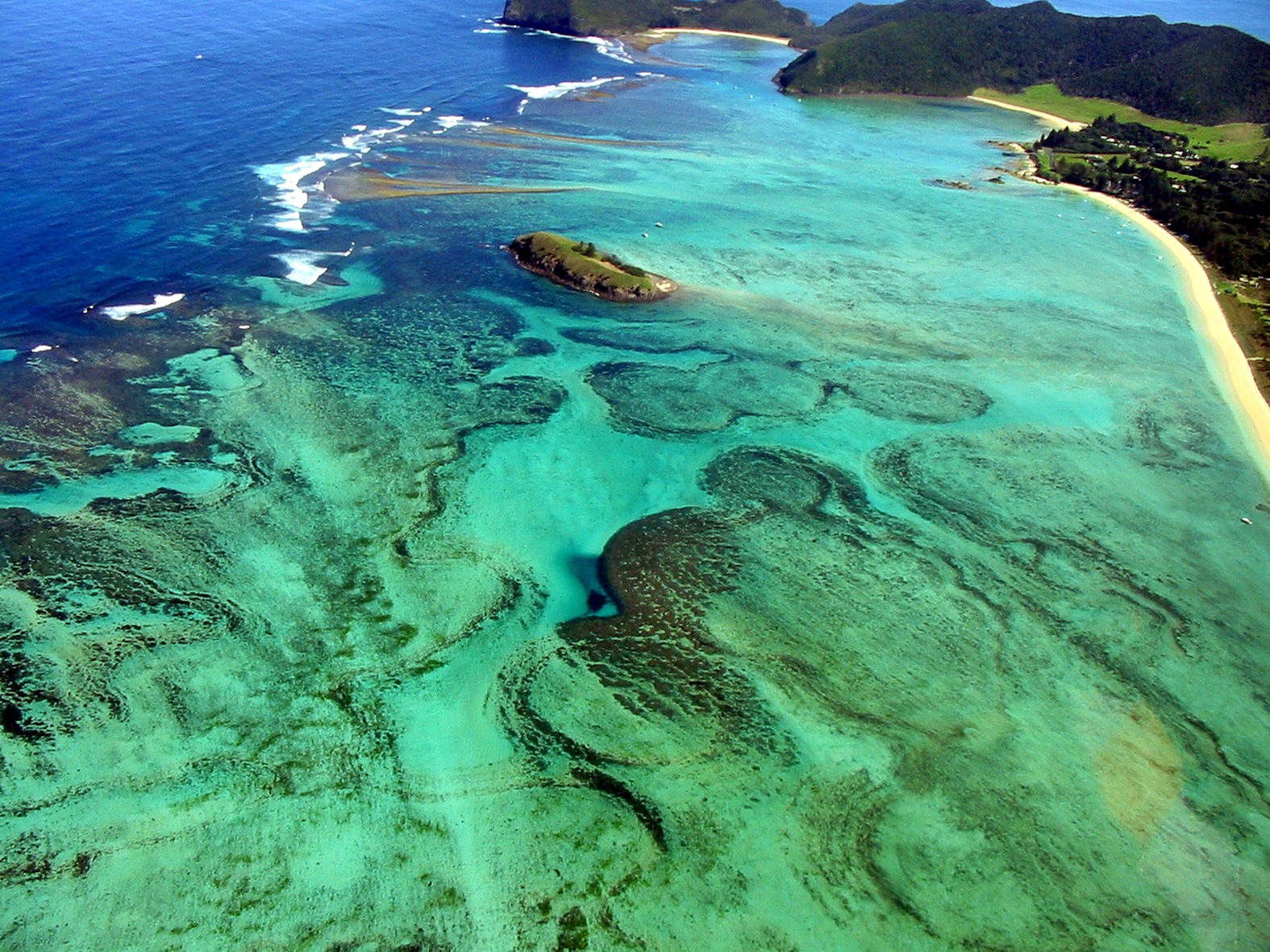 Lord Howe | LAT.40