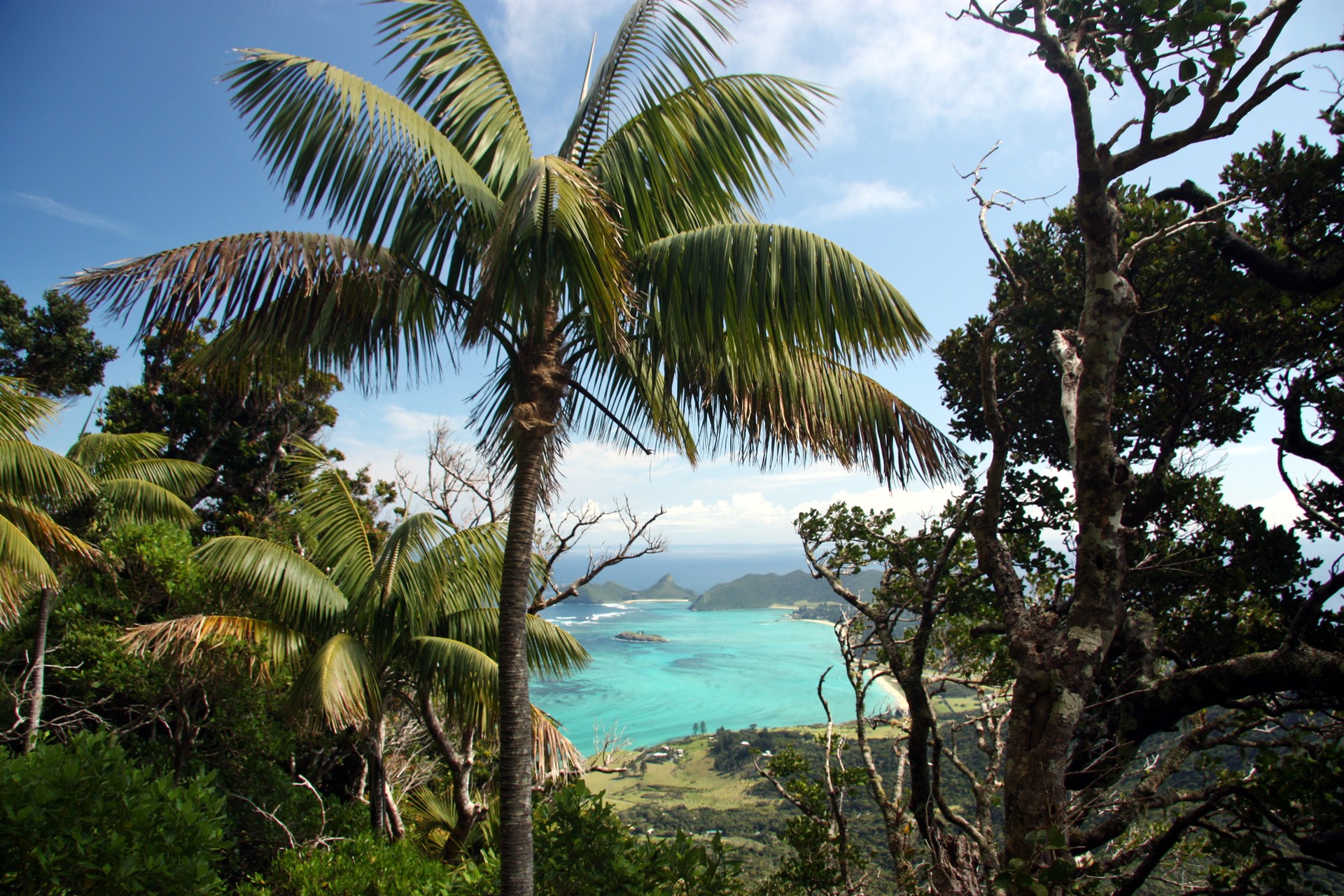 Lord Howe | LAT.40