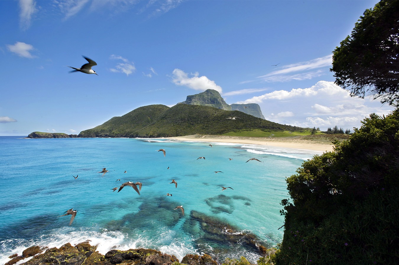 Lord Howe | LAT.40