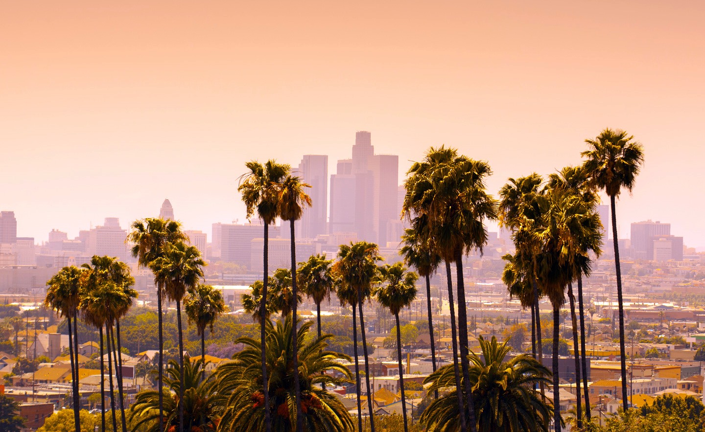 Los Angeles | LAT.40