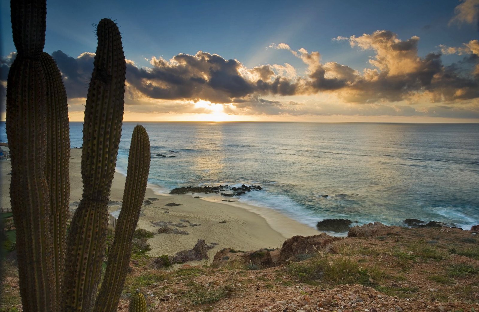 Los Cabos | LAT.40