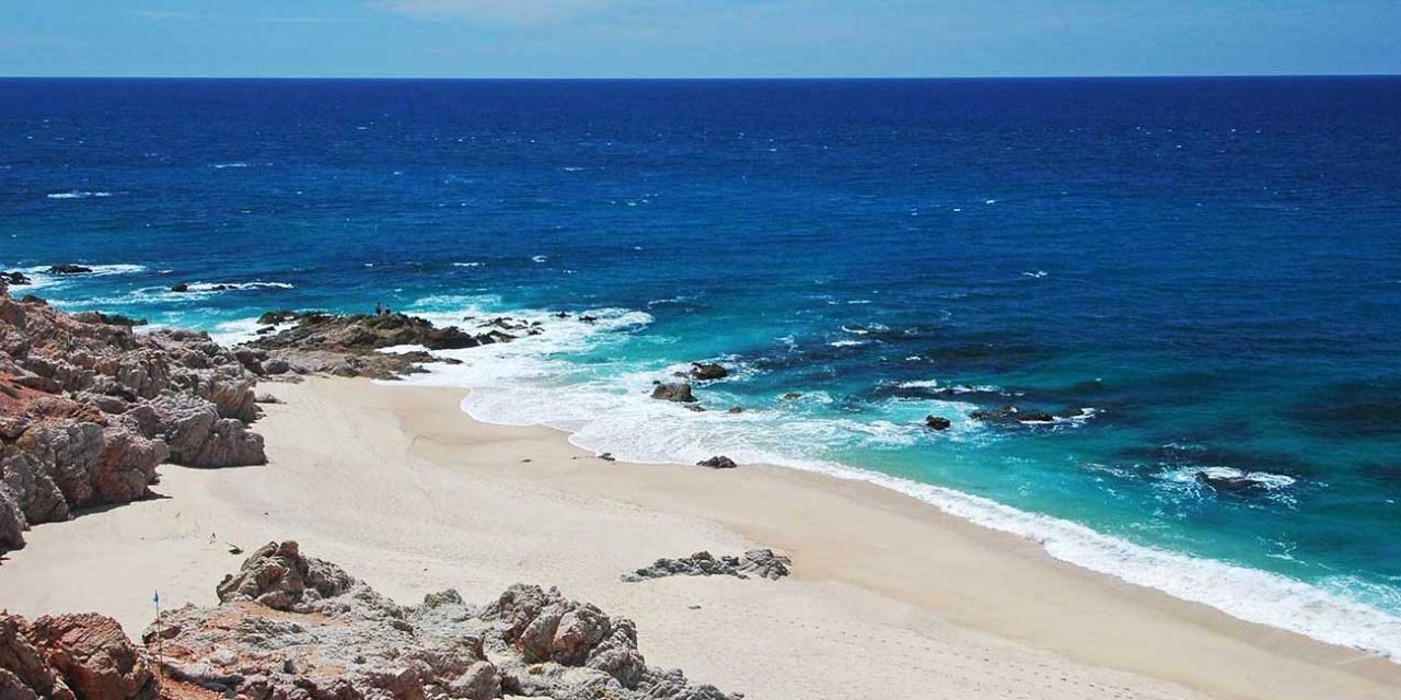 Los Cabos | LAT.40