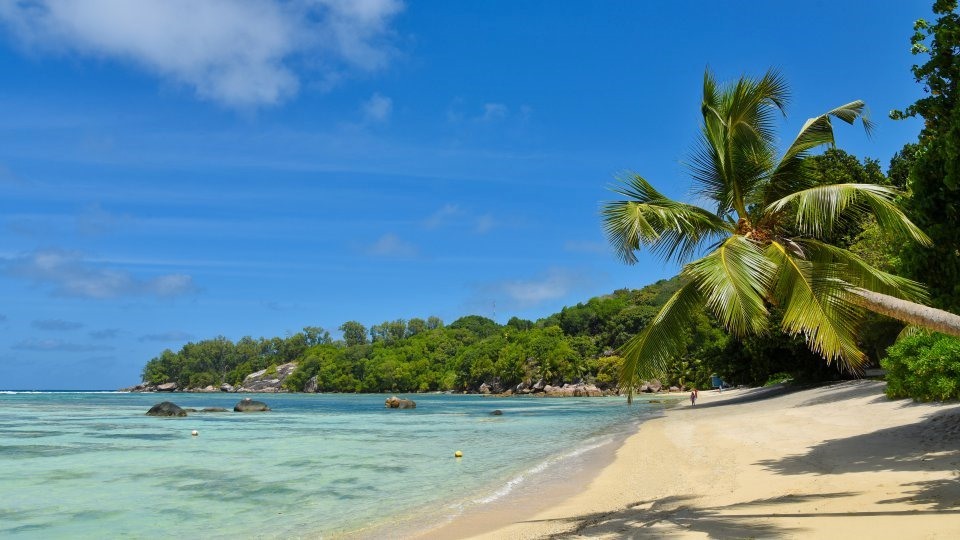 Exclusiva Kenia (Lewa, Loisaba Lodo Springs) y Seychelles diseñado por LAT.40