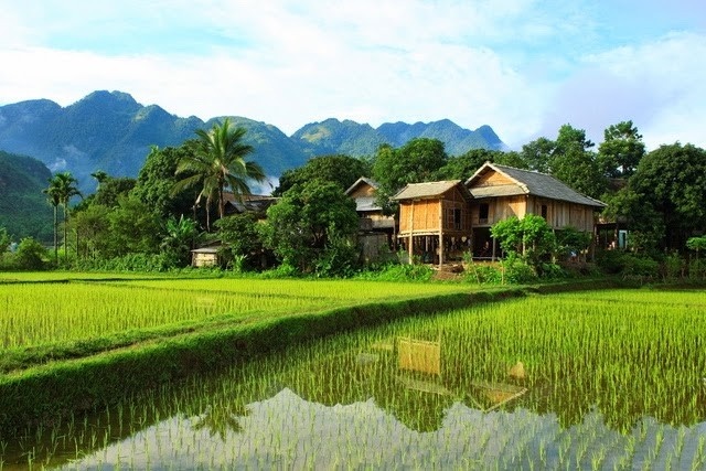 Mai Chau