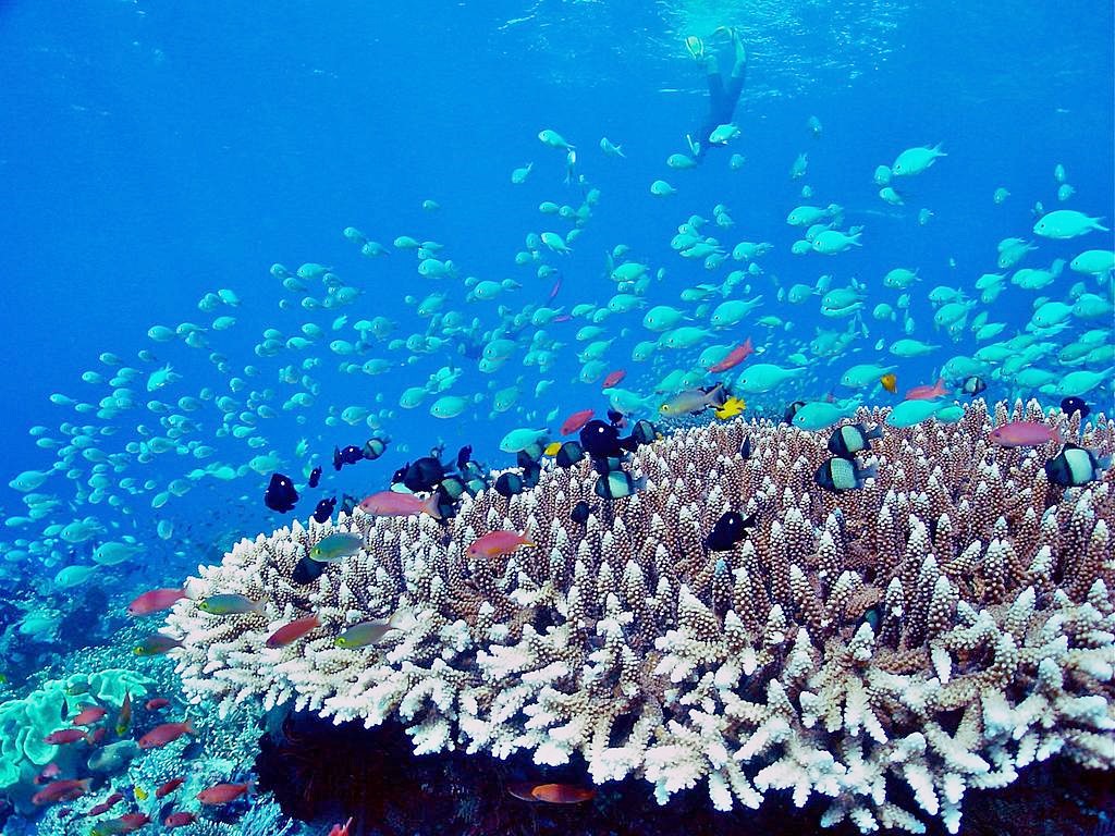 OZEN By Atmosphere en South Male Atoll
