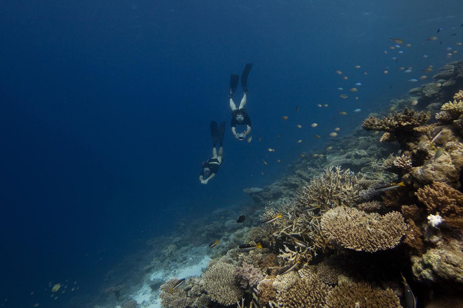 Imagen de viaje LAT.40