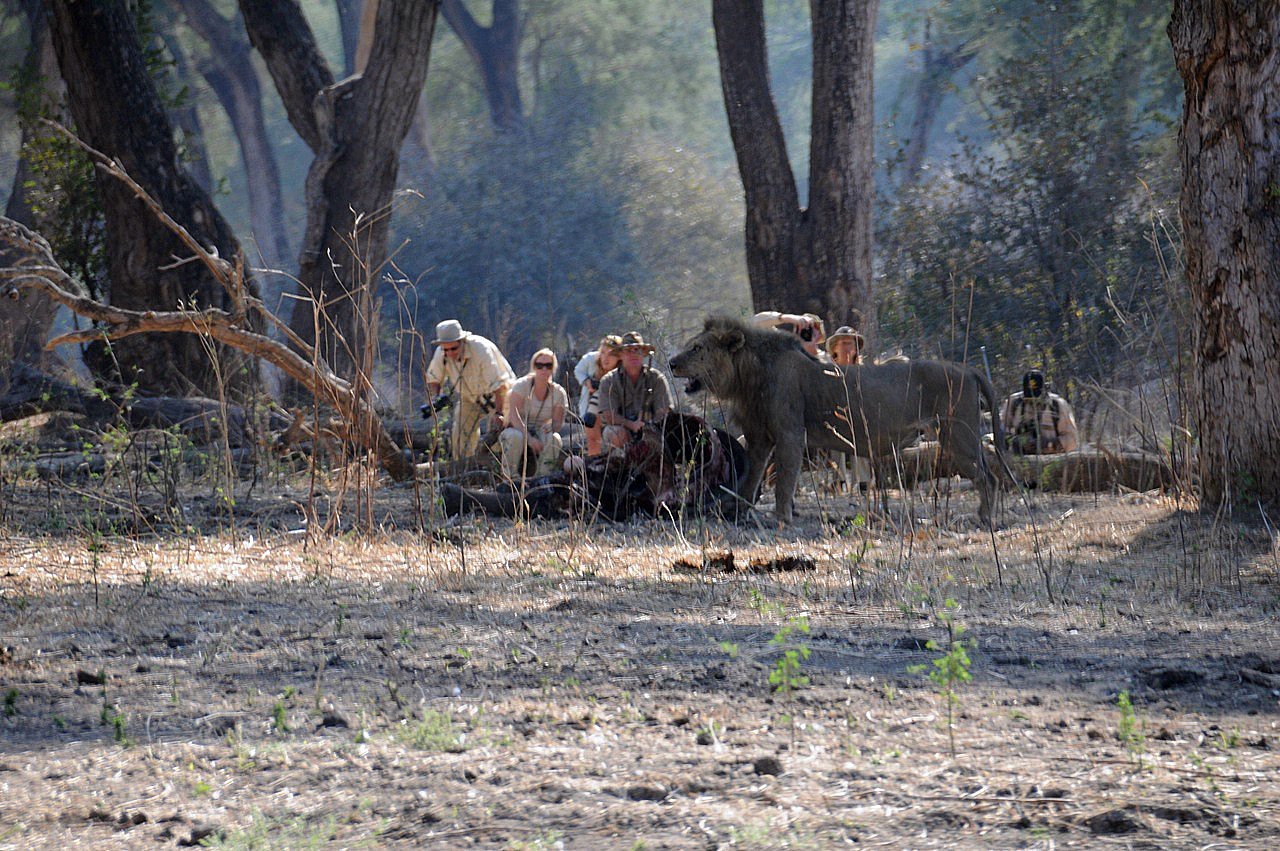 Mana Pools | LAT.40