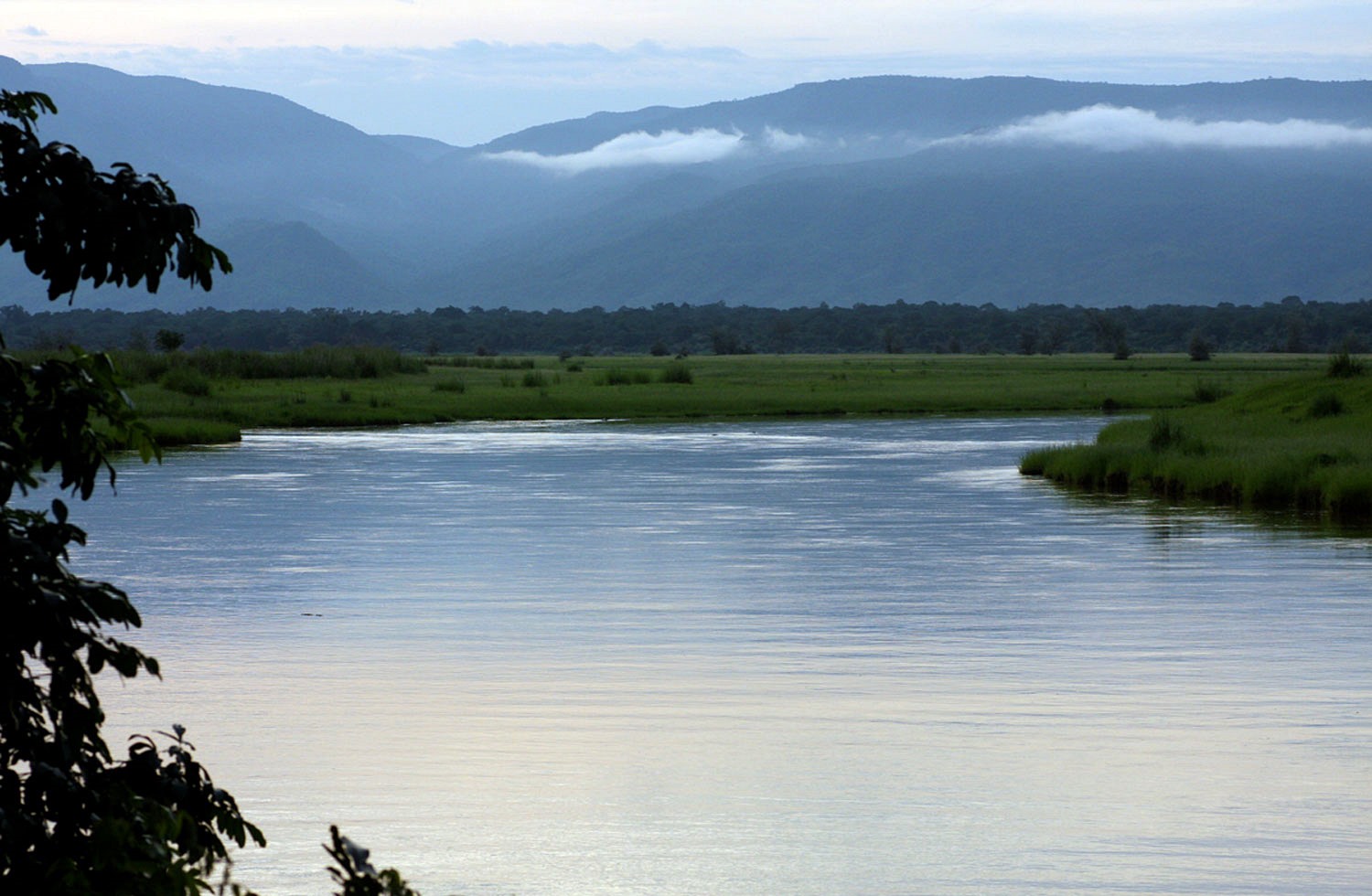 Mana Pools | LAT.40