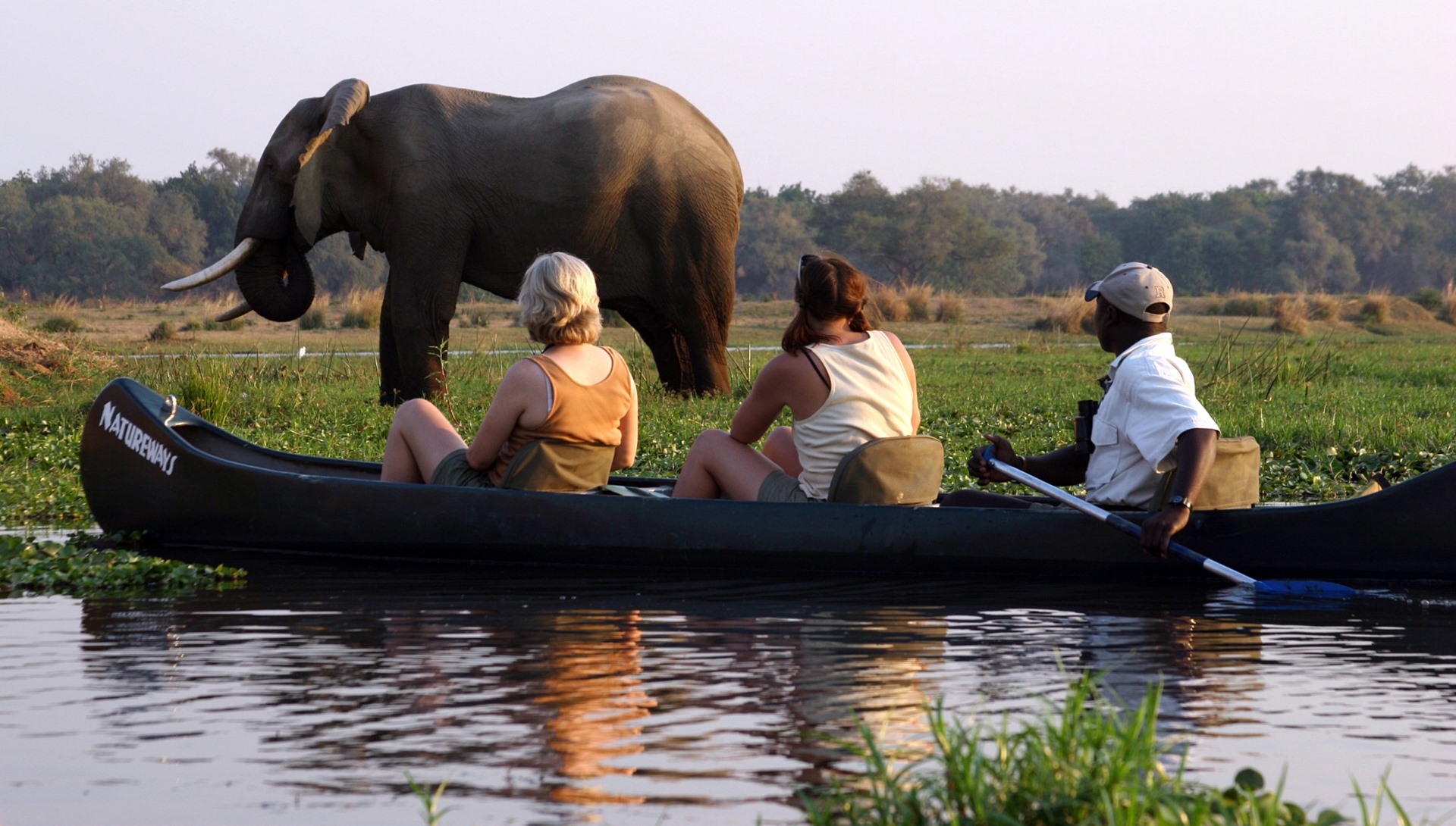 Mana Pools | LAT.40
