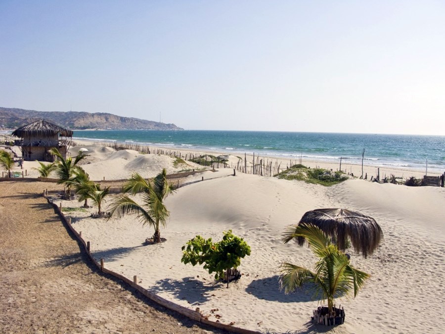 Mancora | LAT.40