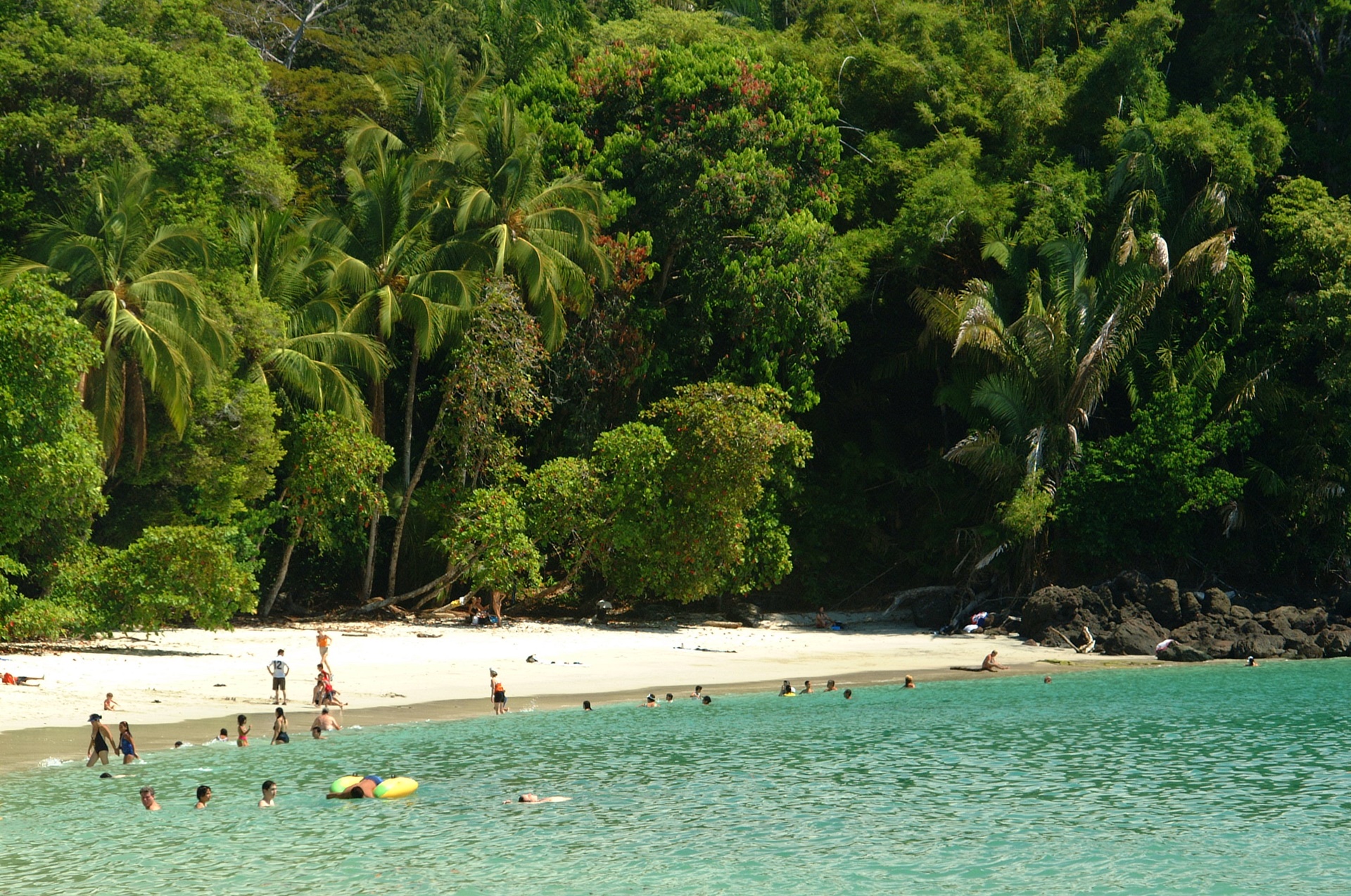 Manuel Antonio | LAT.40