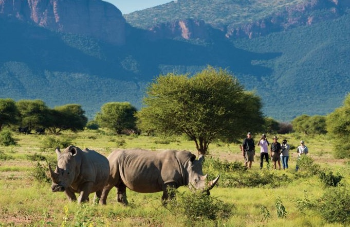 Marataba Safari Lodge en Marakele