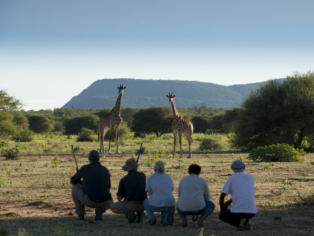 Marataba Safari Lodge en Marakele