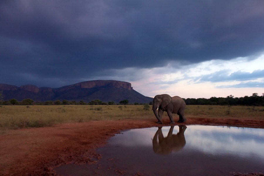 Marataba Safari Lodge en Marakele