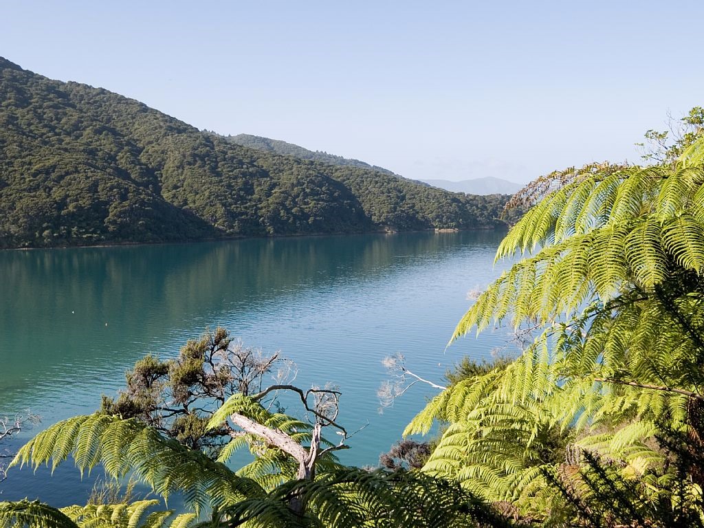 Marlborough Sounds | LAT.40