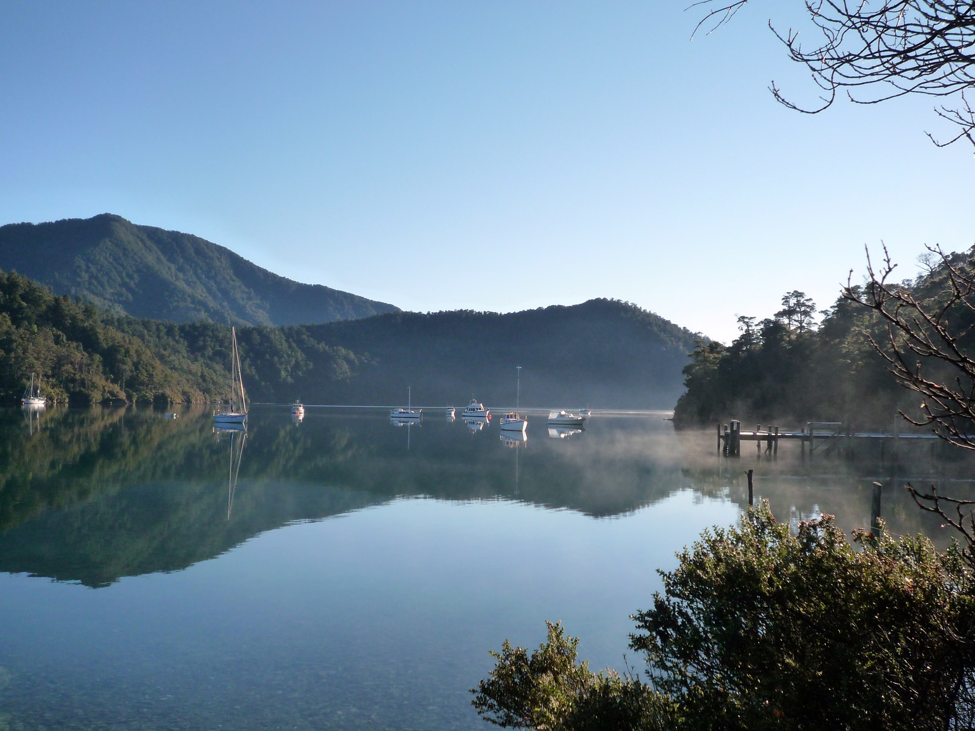 Marlborough Sounds | LAT.40