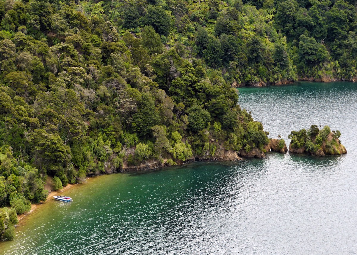 Marlborough Sounds | LAT.40