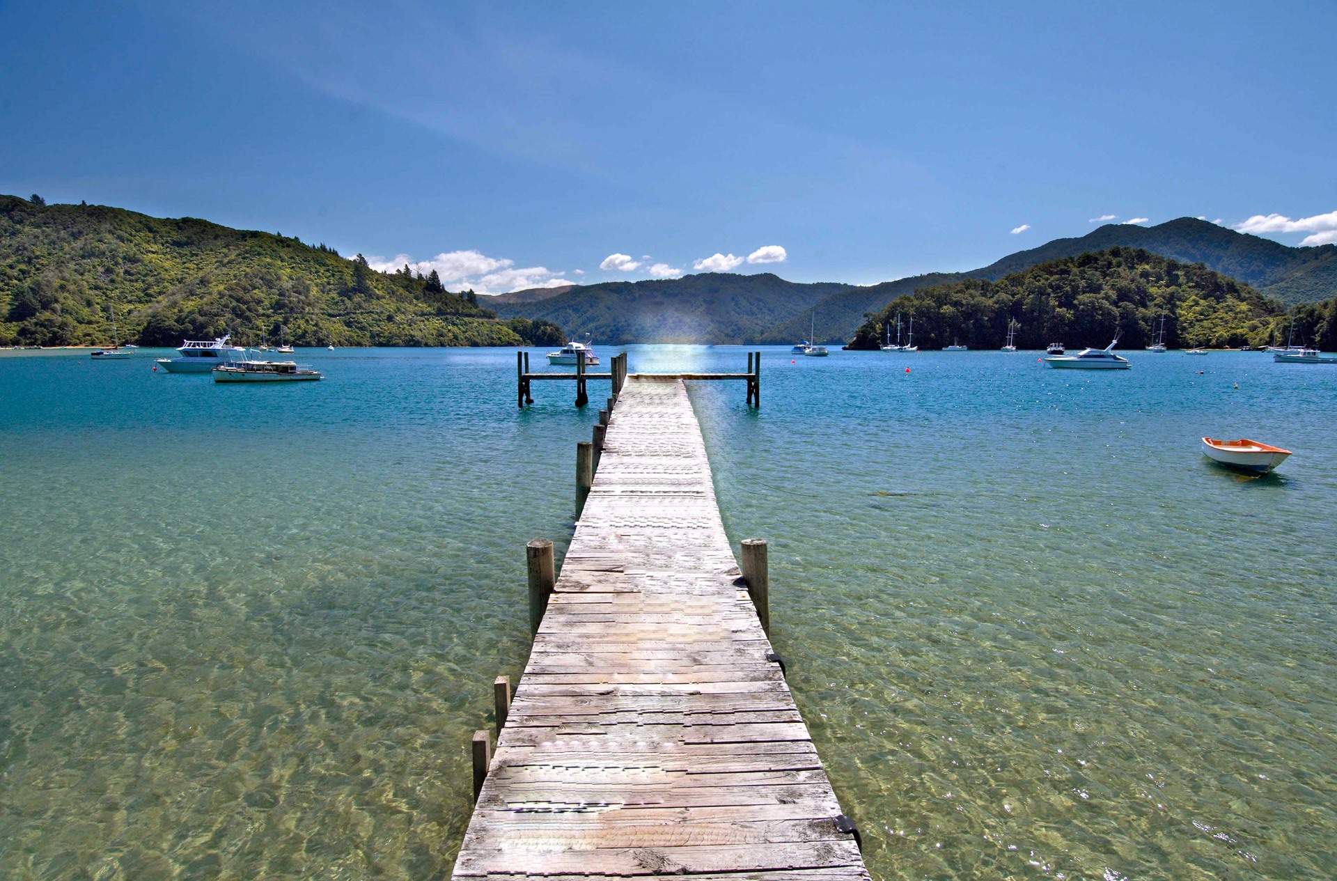 Marlborough Sounds | LAT.40