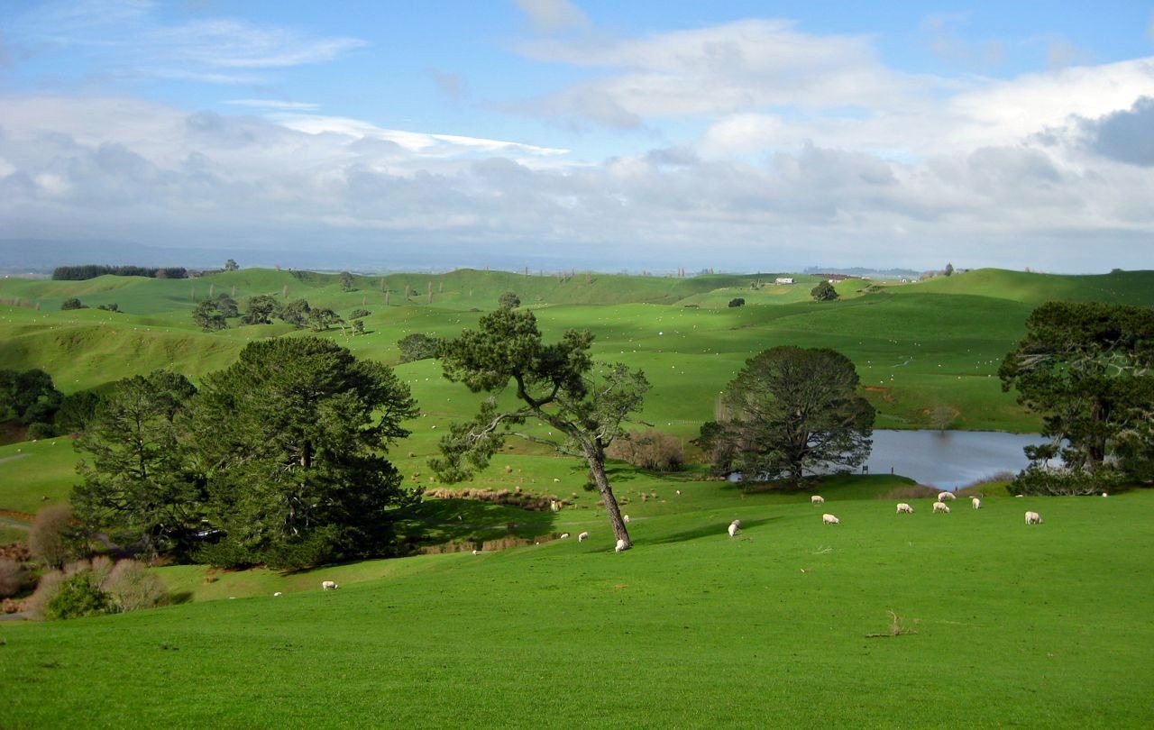 Matamata | LAT.40