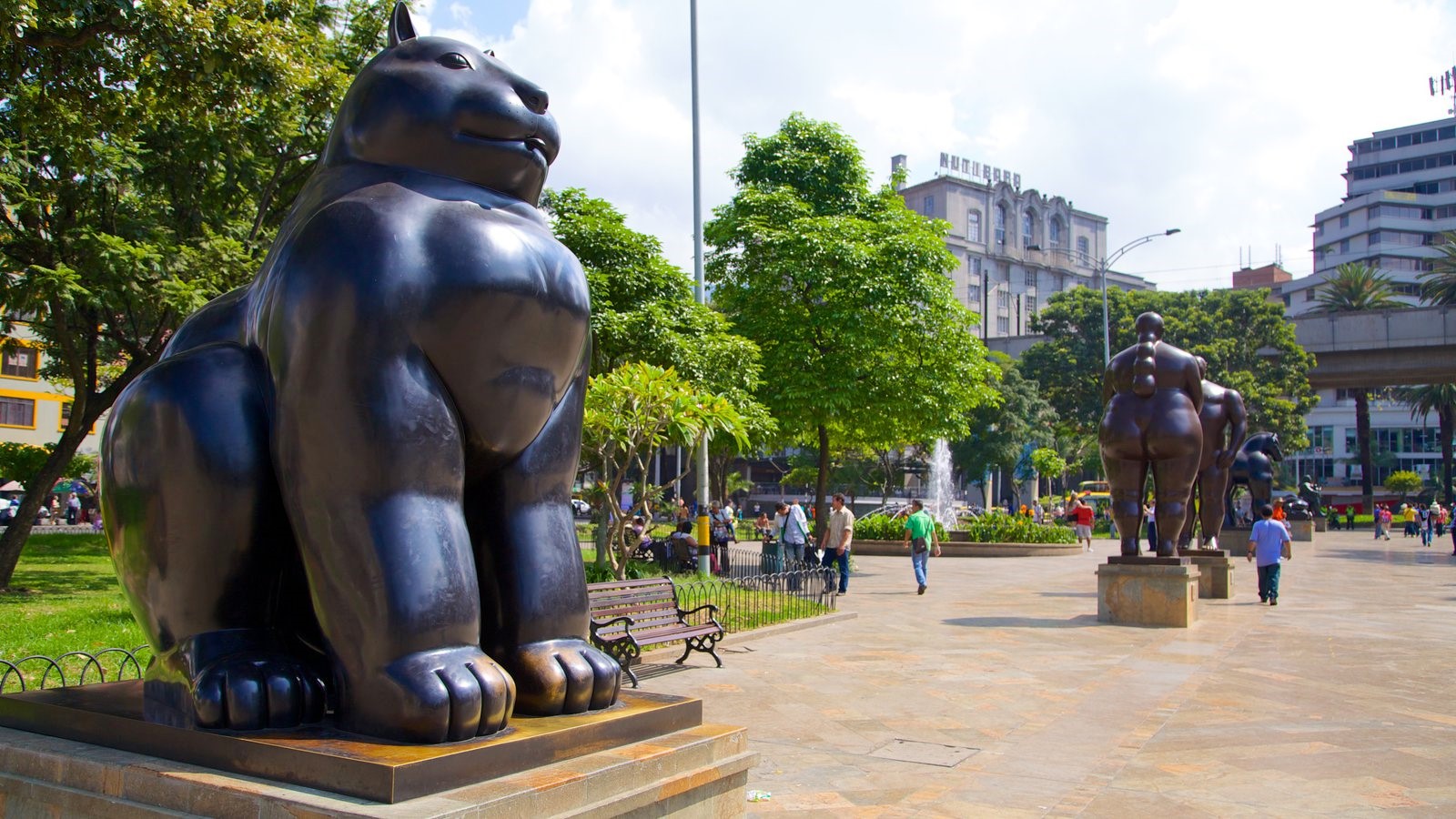 Medellin | LAT.40