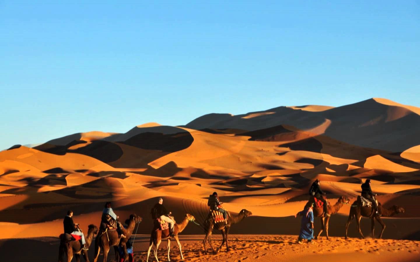 Merzouga | LAT.40