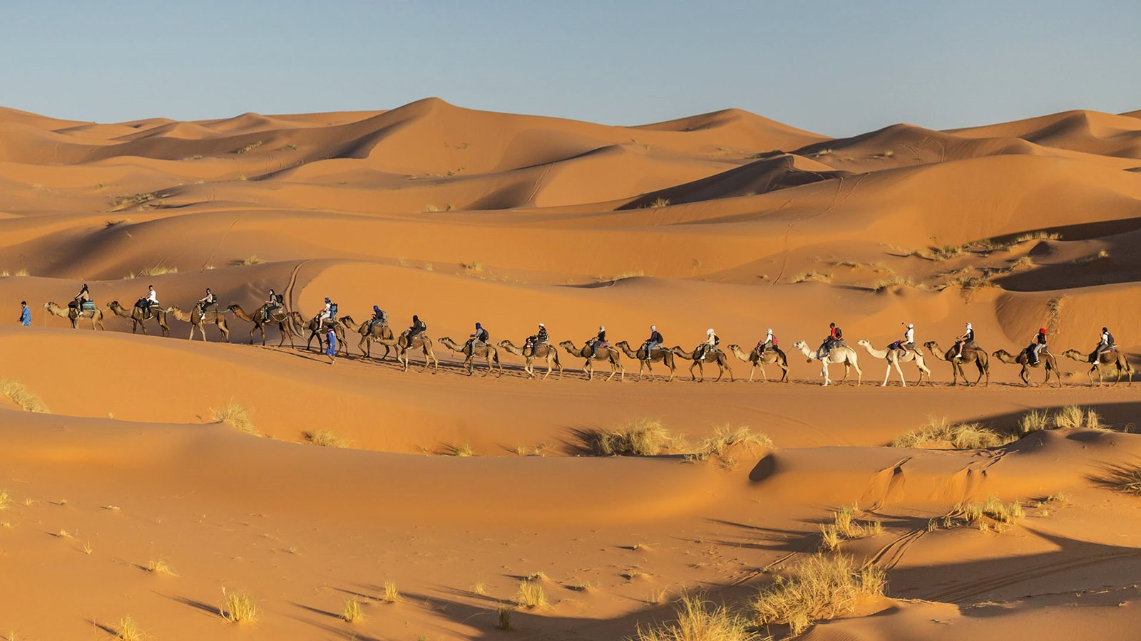 Merzouga | LAT.40