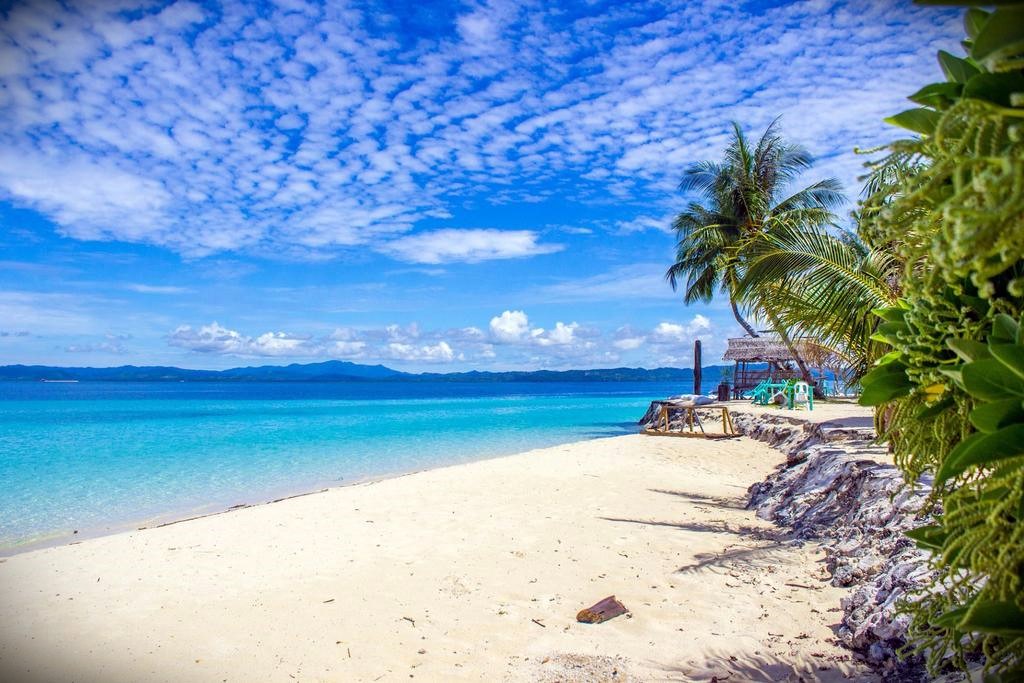 Modessa Island | LAT.40