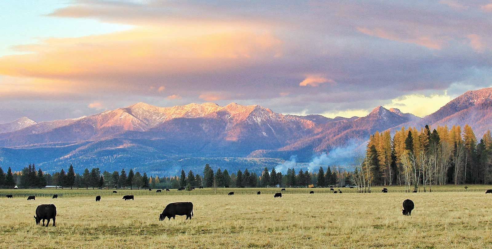 Montana | LAT.40