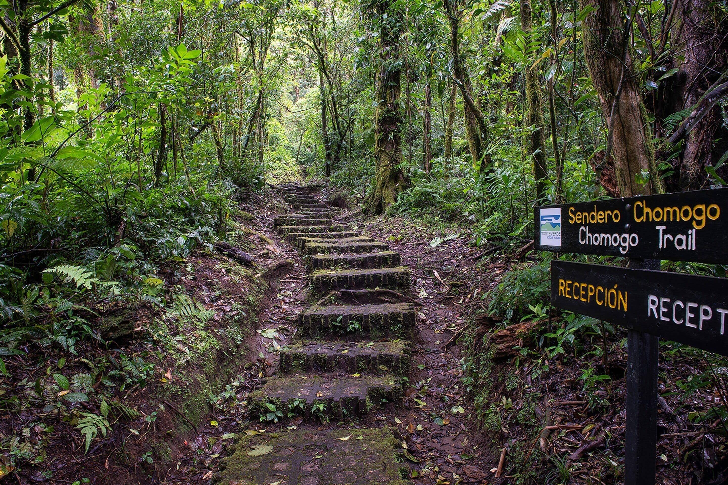 Monteverde Lodge & Gardens by Böëna en Monteverde