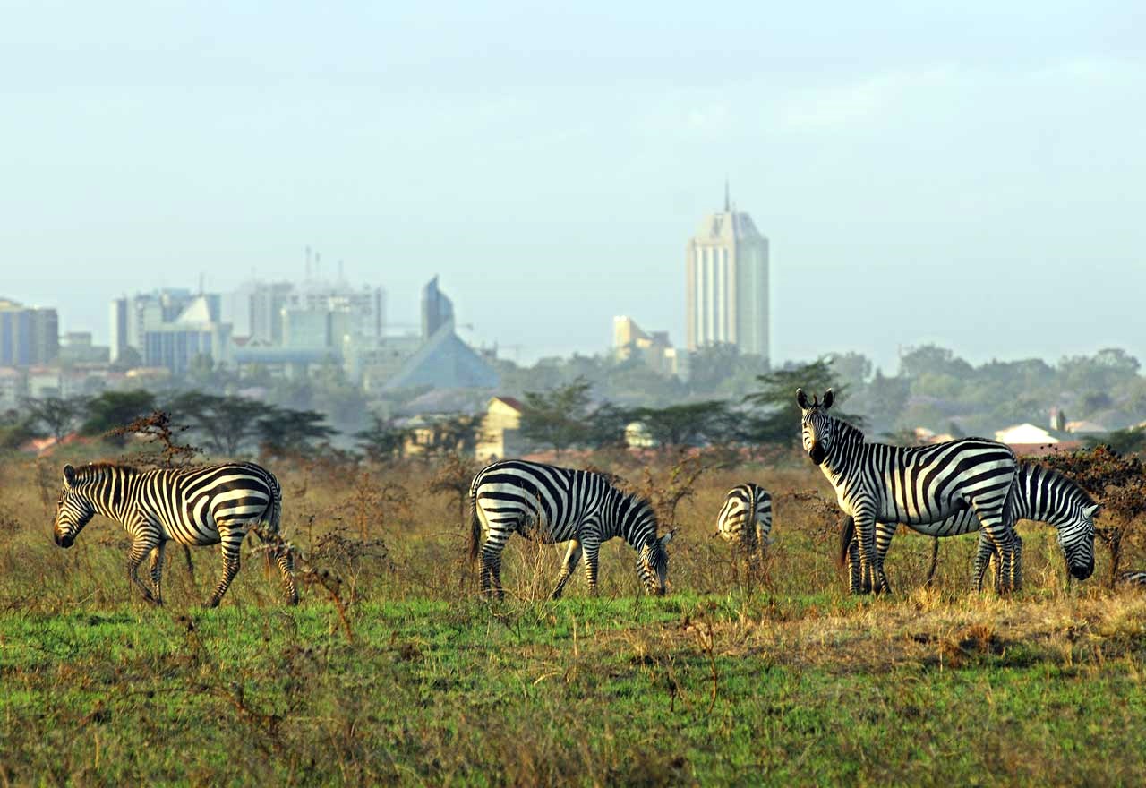 Safari Tanzania y Kenya diseñado por LAT.40