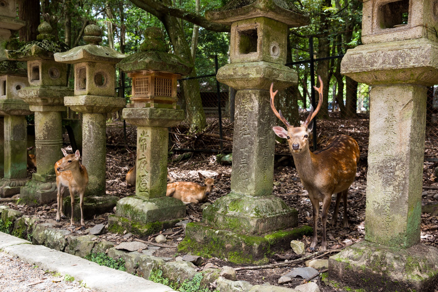 Kyoto