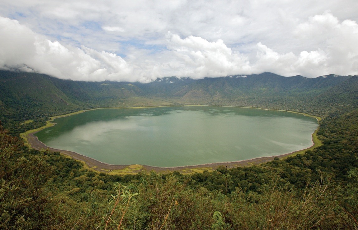 Ngorongoro | LAT.40