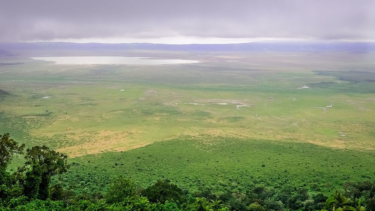 Ngorongoro | LAT.40