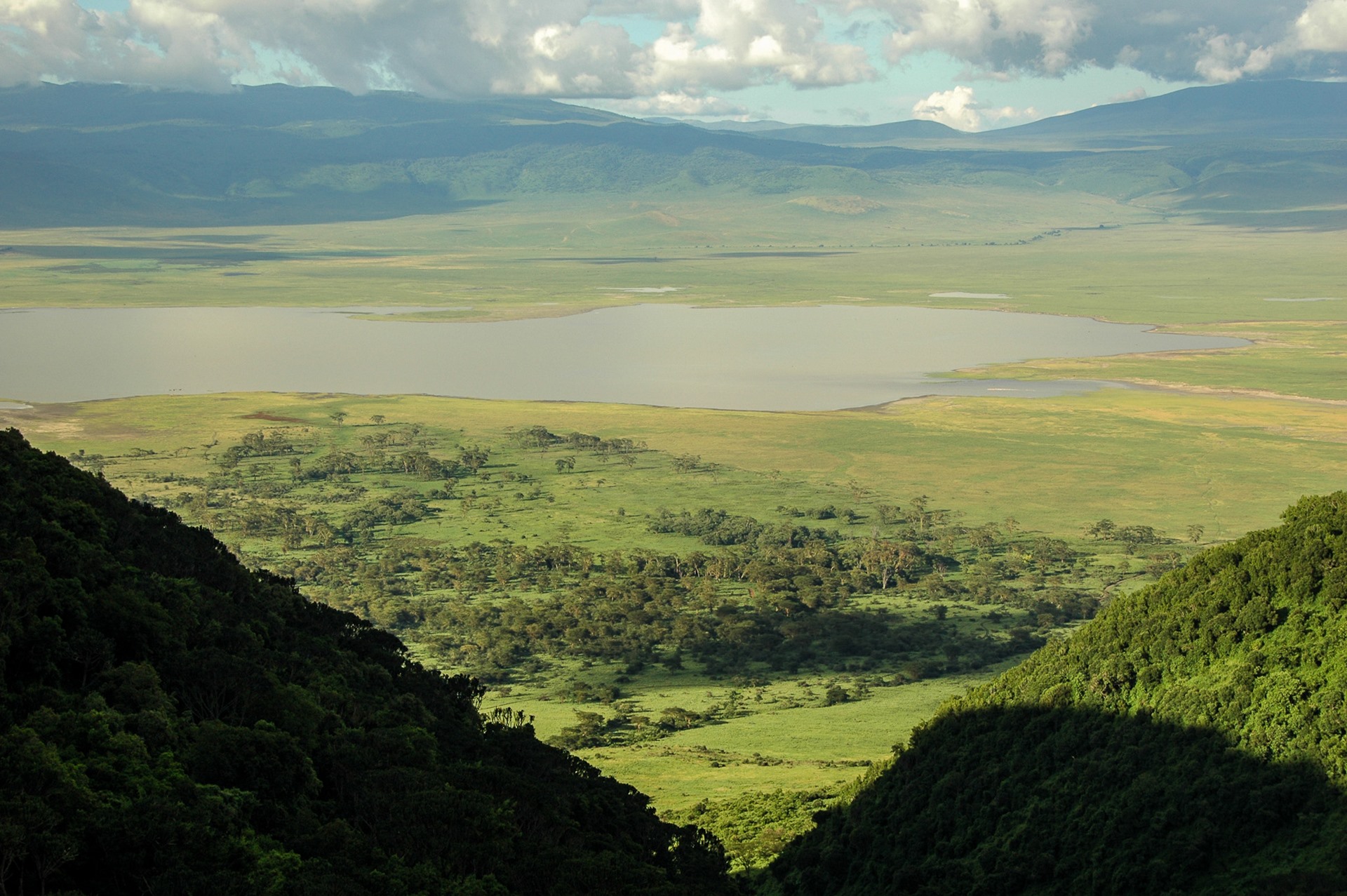 Ngorongoro | LAT.40