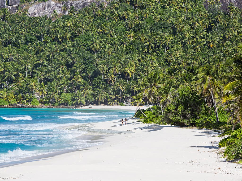 North Island | LAT.40