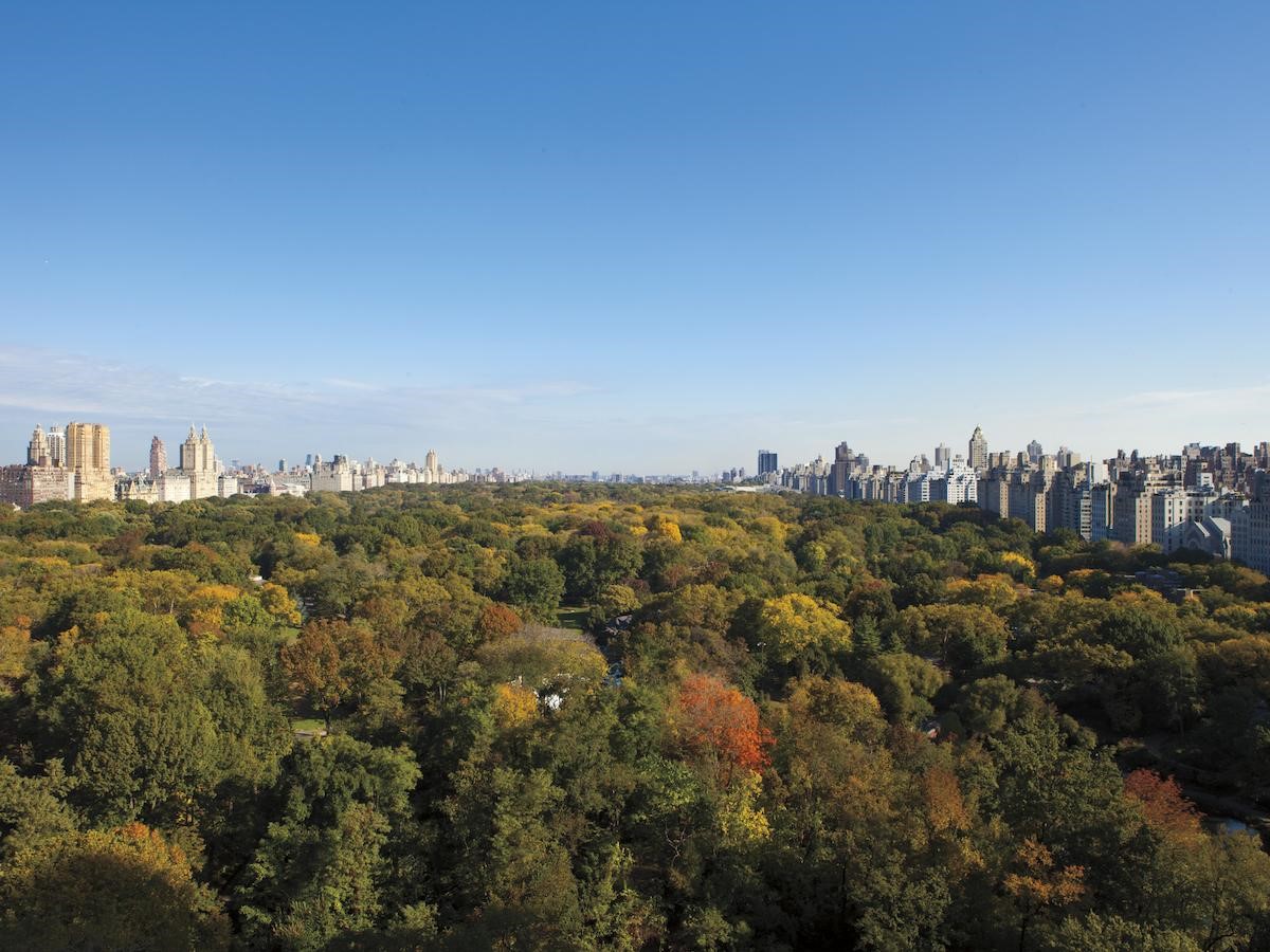 Ritz Carlton New York Central Park en Nueva York