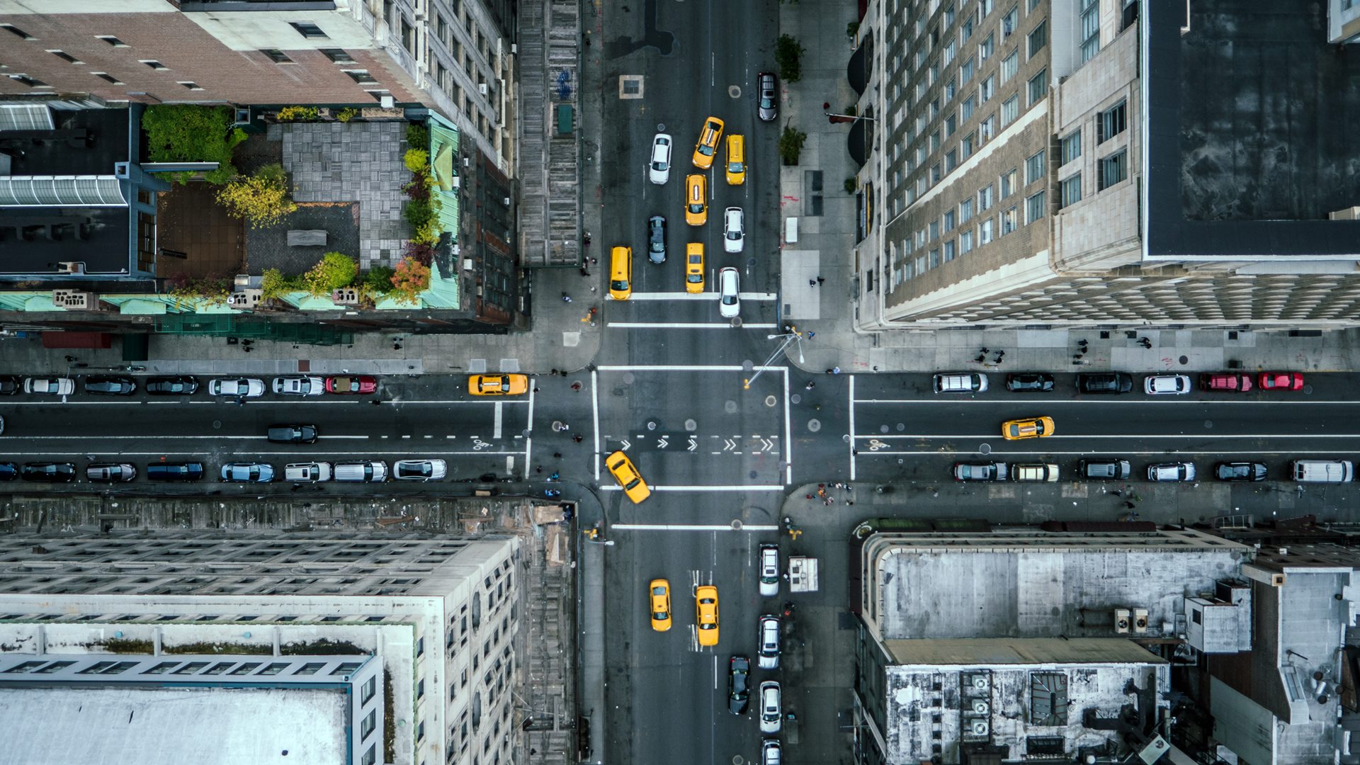Nueva York | LAT.40