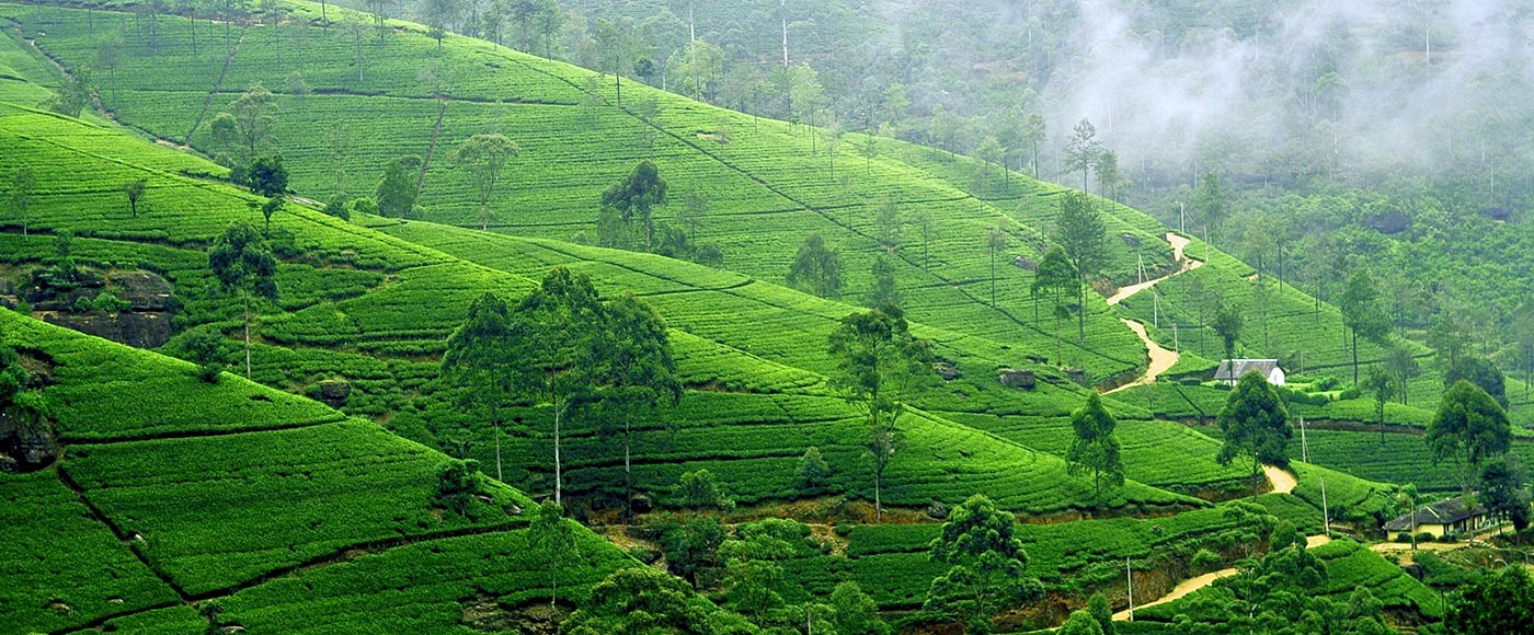 Sri Lanka | LAT.40