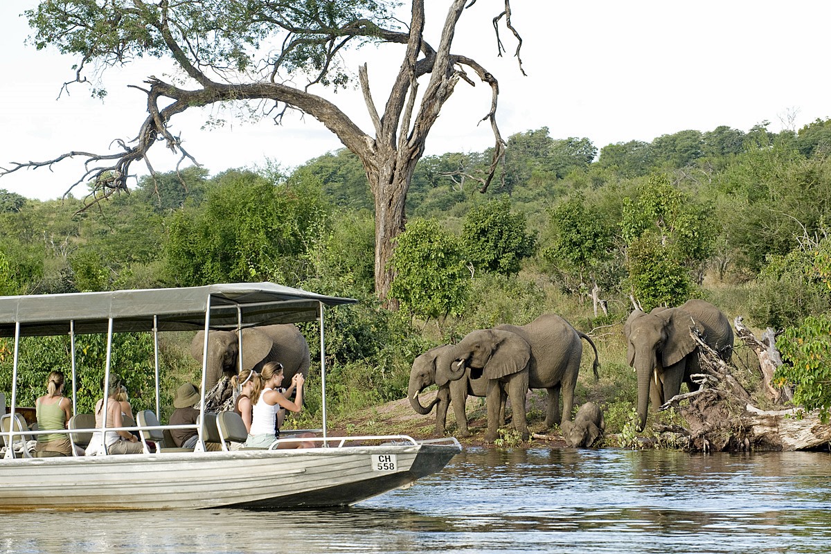 Sanctuary Baines en Delta Okavango