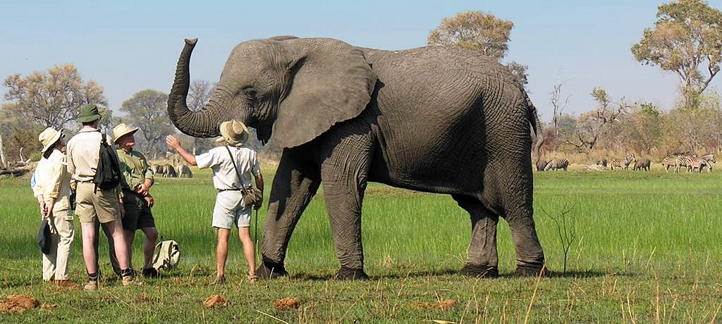 Sanctuary Baines en Delta Okavango