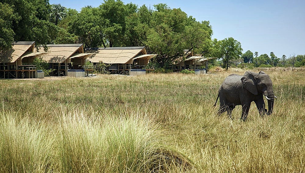 BELMOND EAGLE ISLAND LODGE en Delta Okavango