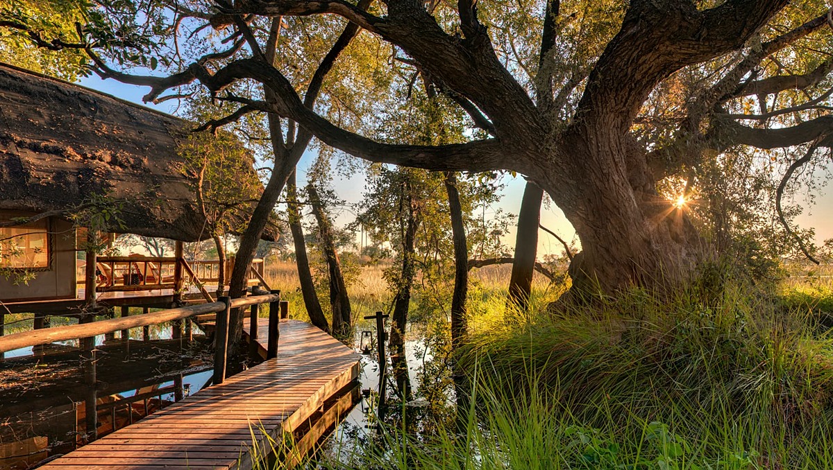 BELMOND EAGLE ISLAND LODGE en Delta Okavango