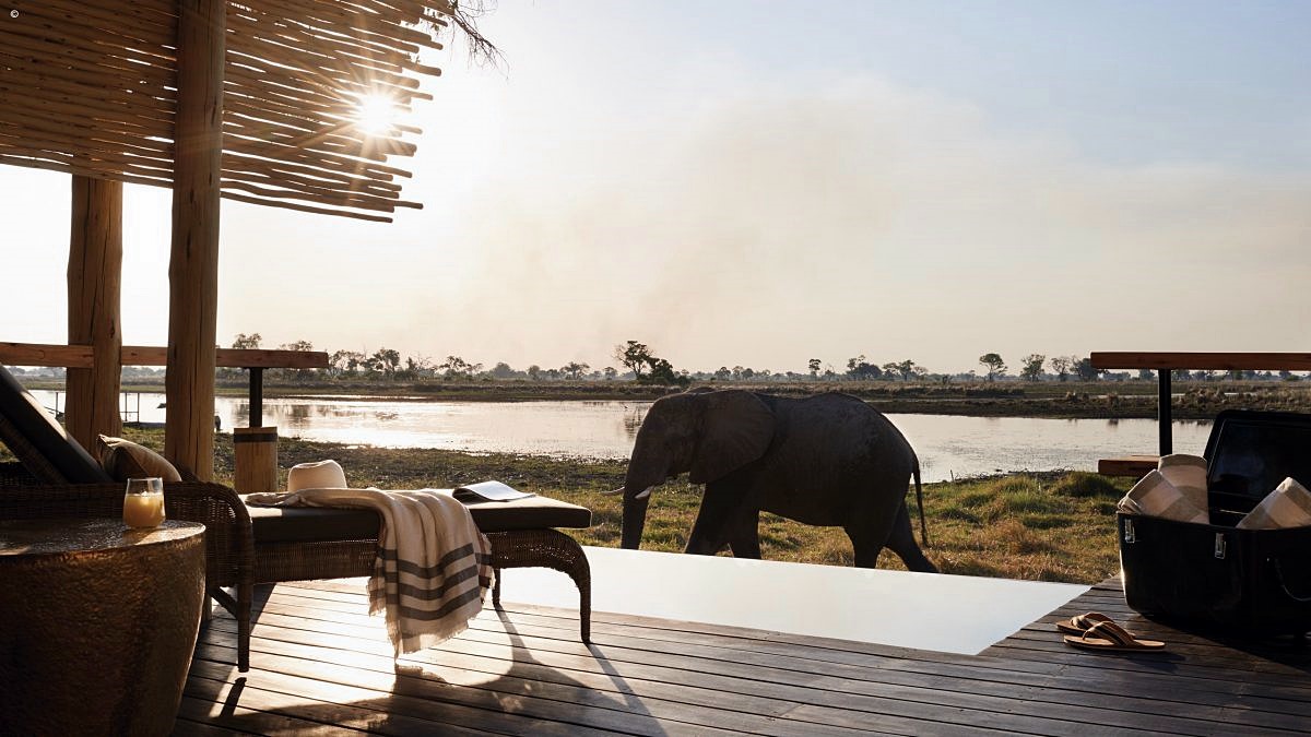 BELMOND EAGLE ISLAND LODGE en Delta Okavango
