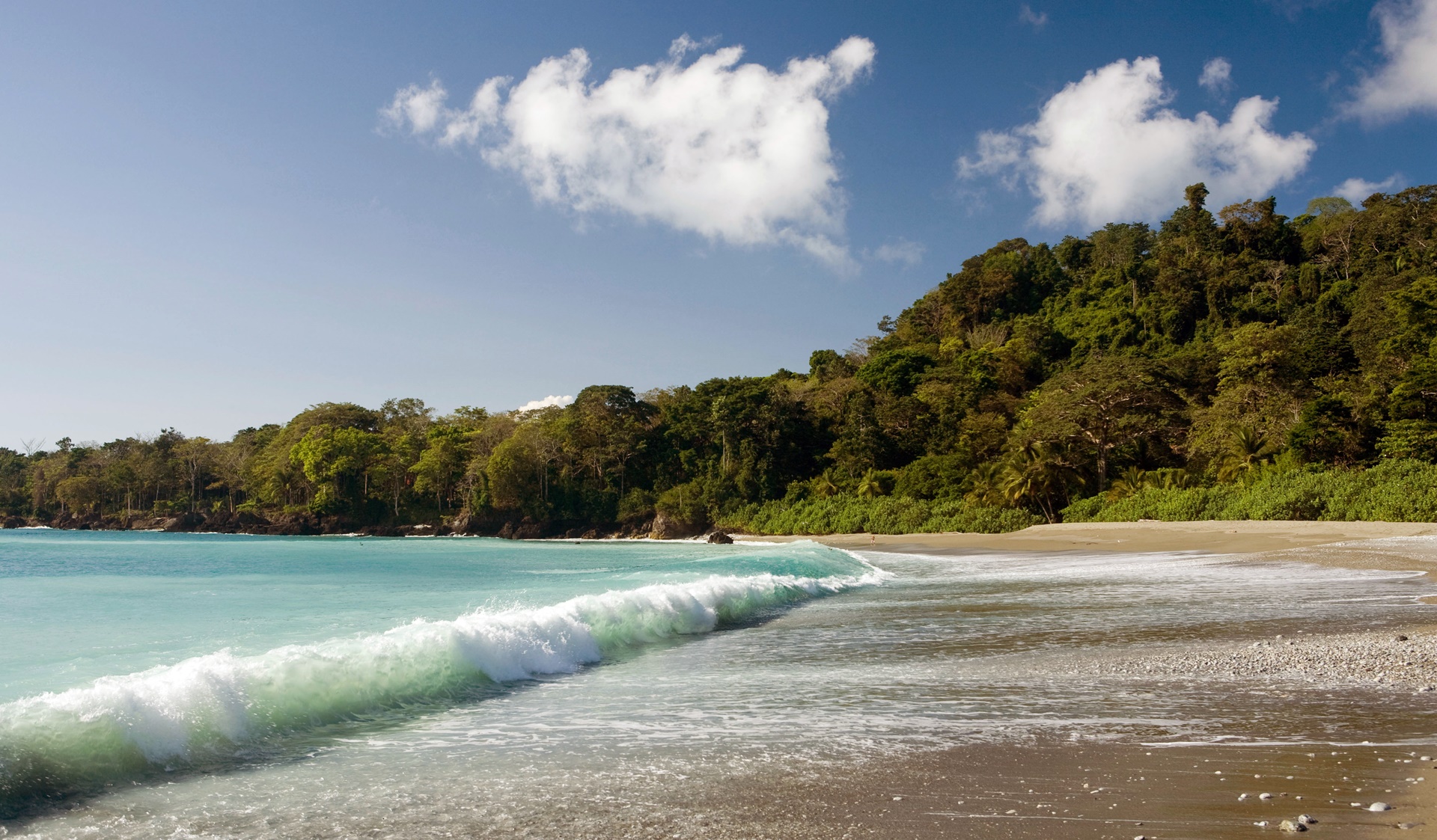 Osa Peninsula (Corcovado) | LAT.40