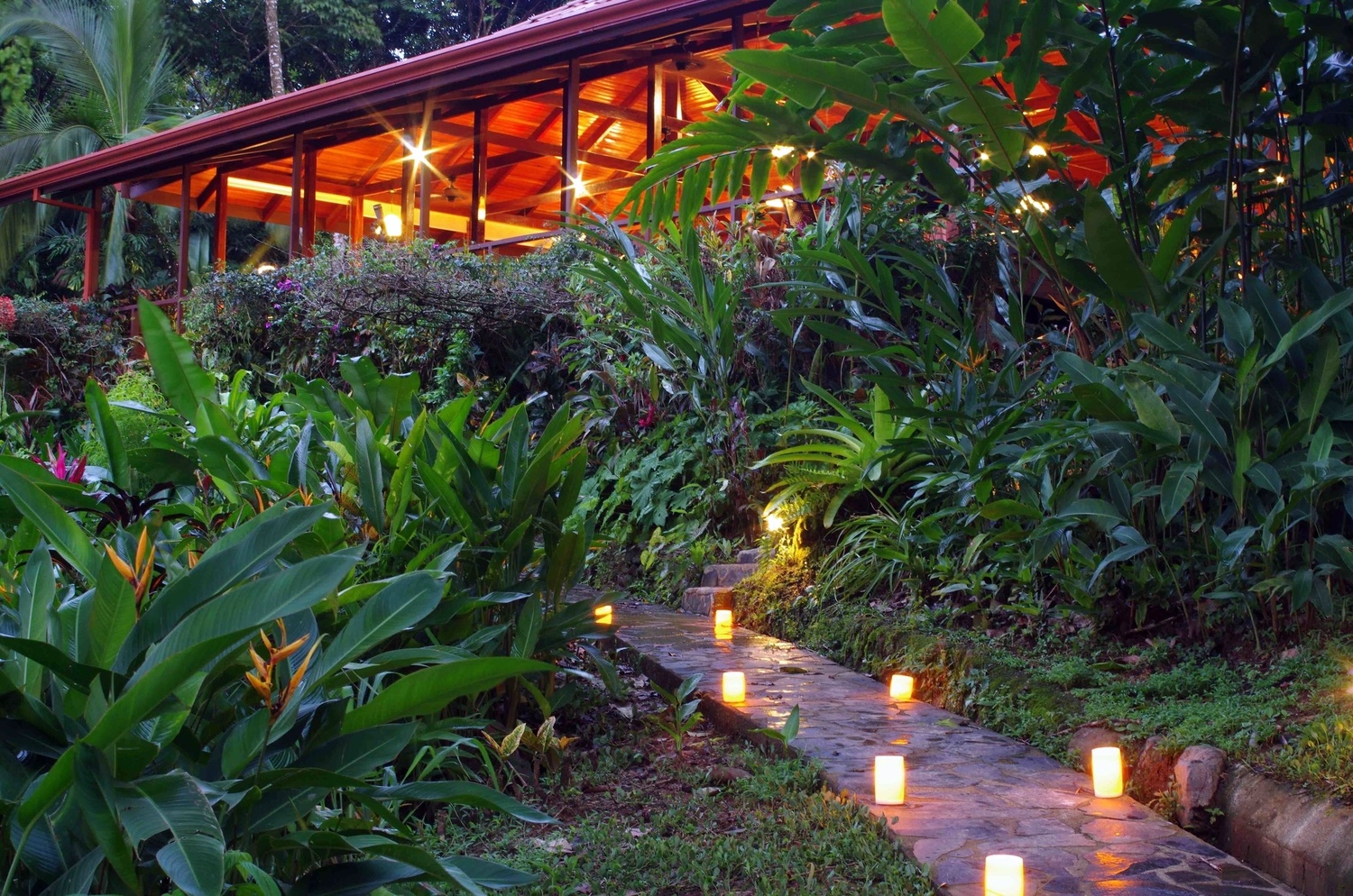 Osa Peninsula (Corcovado) | LAT.40