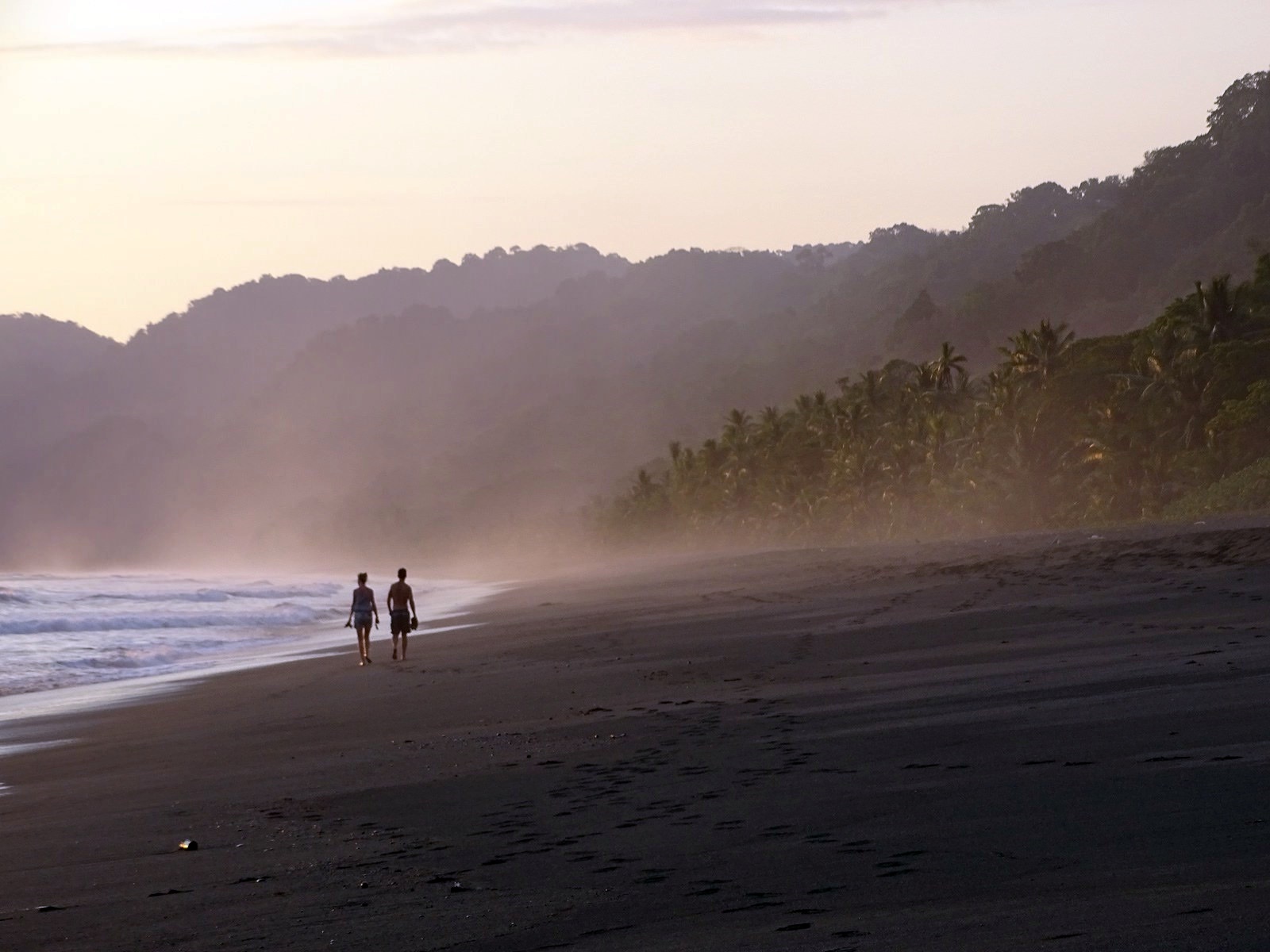 Osa Peninsula (Corcovado) | LAT.40