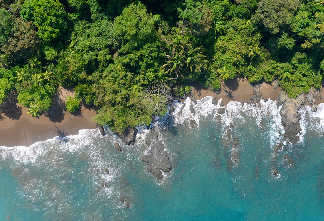 Osa Peninsula (Corcovado) | LAT.40
