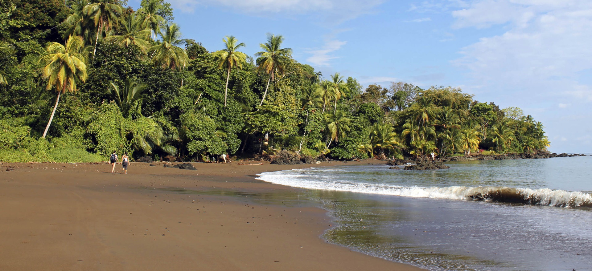 Osa Peninsula (Corcovado) | LAT.40